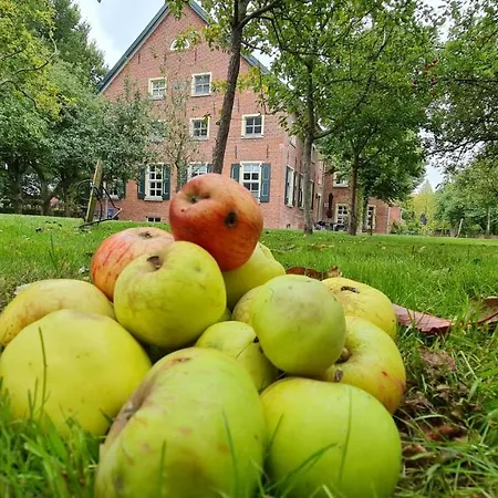 Apartamento Gulfhof Boomgaarden Boomgaarden 15 Reemt *