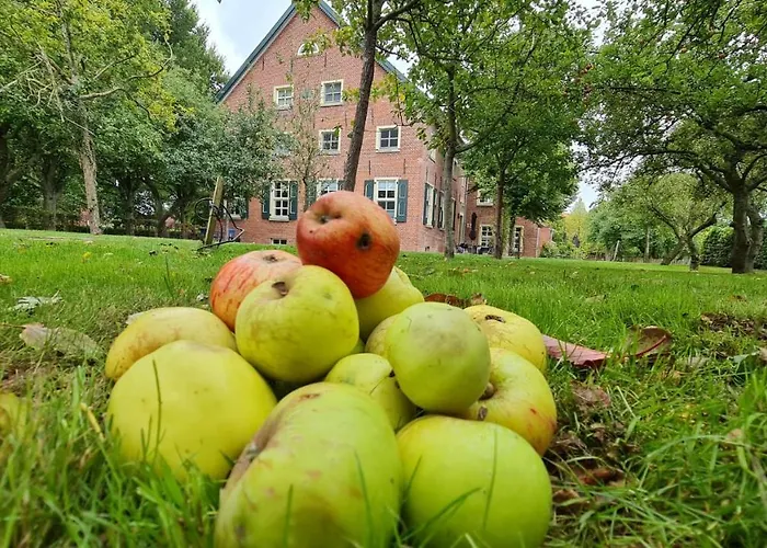 شقة Gulfhof Boomgaarden Boomgaarden 15 Reemt *